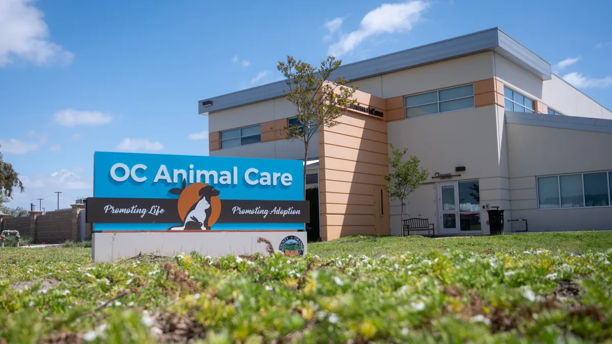 OC Animal Care: Adopt Dogs, Find Lost Pets & Support the Shelter Wish List - Hope Paws Support Fund - Bothwell OCAnimalCare Tustin April 2024 1 1 scaled 1