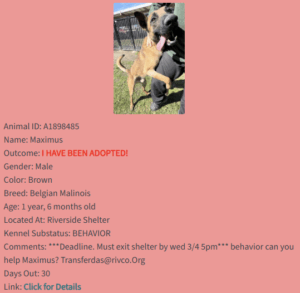 Happy Dogs - Hope Paws Support Fund - maximus adopted