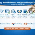 How to start a 501(c)(3) nonprofit step-by-step timeline checklist
