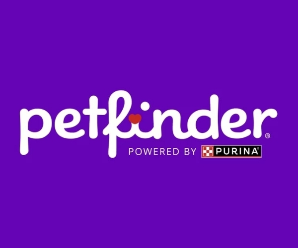 AI for Lost Pets: The Complete Guide to Modern Recovery - Hope Paws Support Fund - Heading 4