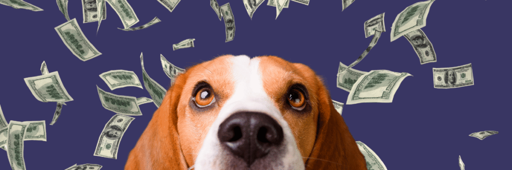 Round up spare change for dogs with RoundUp.org