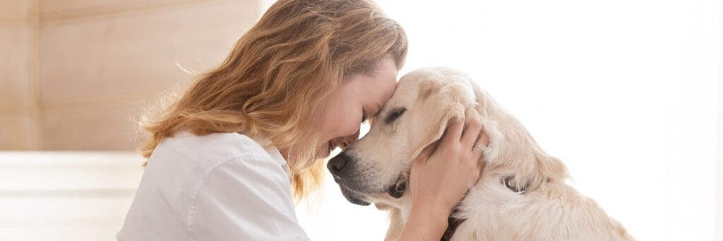 Get involved - Hope Paws Support Fund - Heading 15