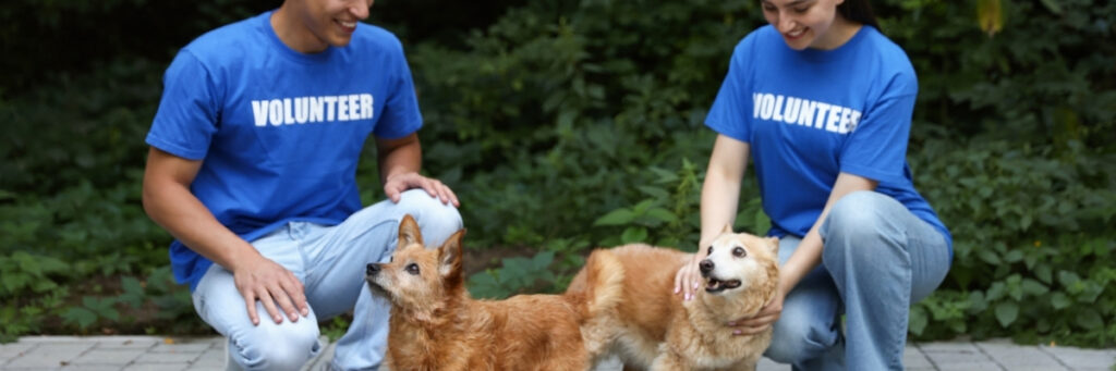 Become a volunteer - Hope Paws Support Fund Become a volunteer