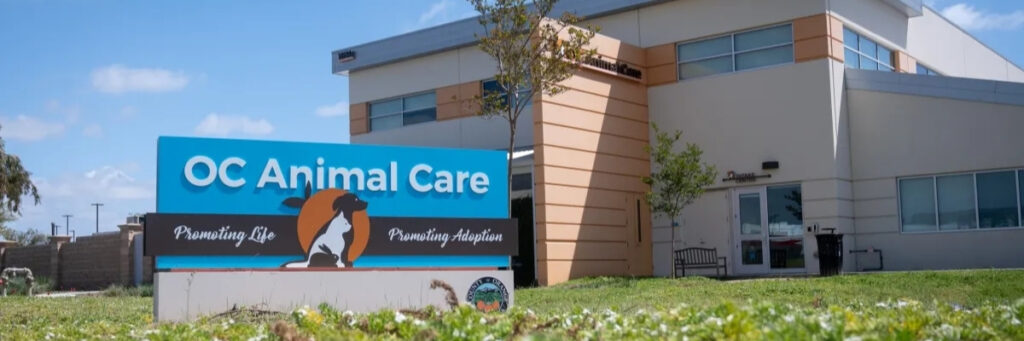 Lost Dogs OC Animal Care - Hope Paws Support Fund - OC animal