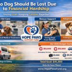 Who We Are & How We Save Dogs