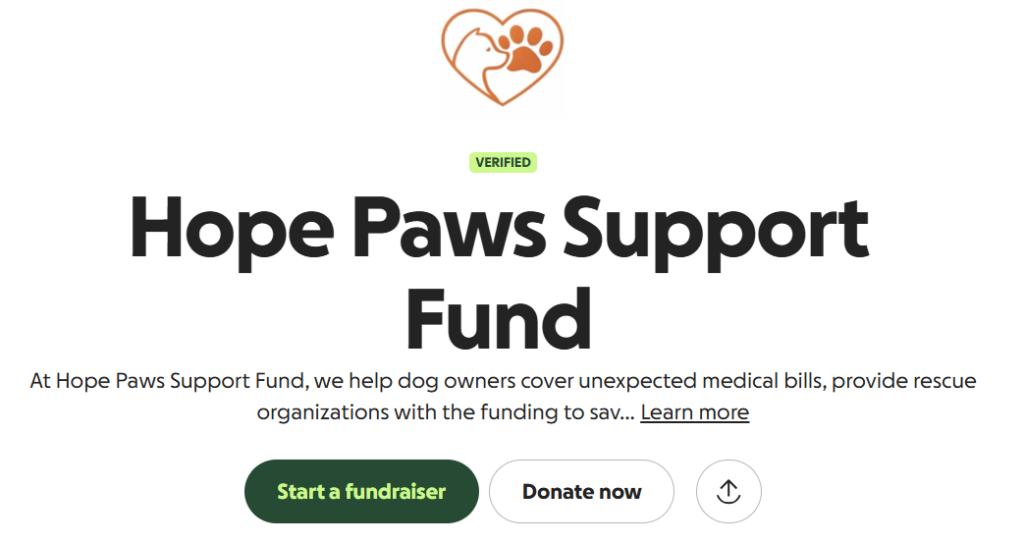 Support Us on GoFundMe