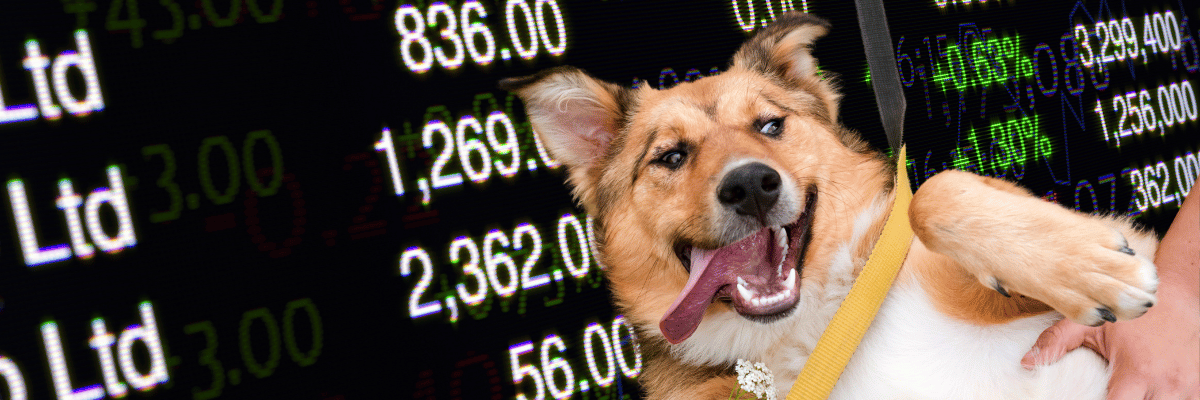 How To Donate Stock To Charity