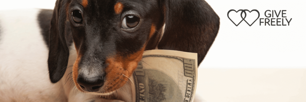 Give Freely a free way to support Hope Paws