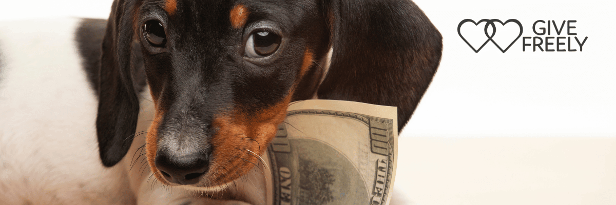 Give Freely a free way to support Hope Paws