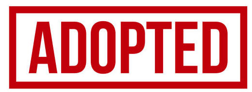 Happy Dogs - Hope Paws Support Fund Happy Dogs - Hope Paws Support Fund - adopted e1779072099834