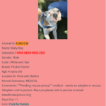 Baby Boy’s Rescue Story