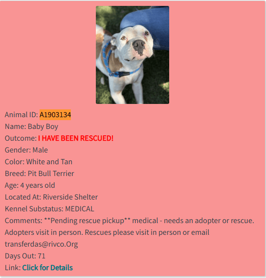 Baby Boy’s Rescue Story