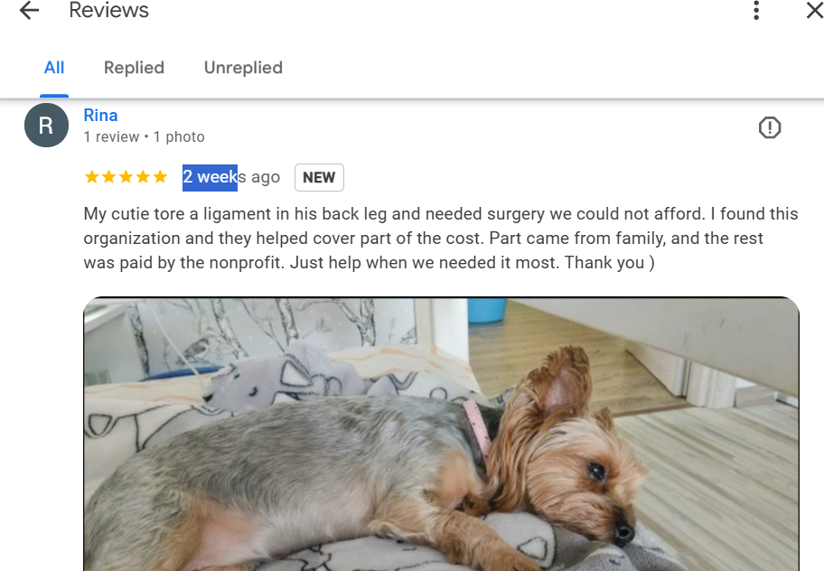 Program Progress Tracker - our Commitments - Hope Paws Support Fund - image 10