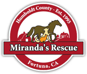 Miranda's Rescue investigation