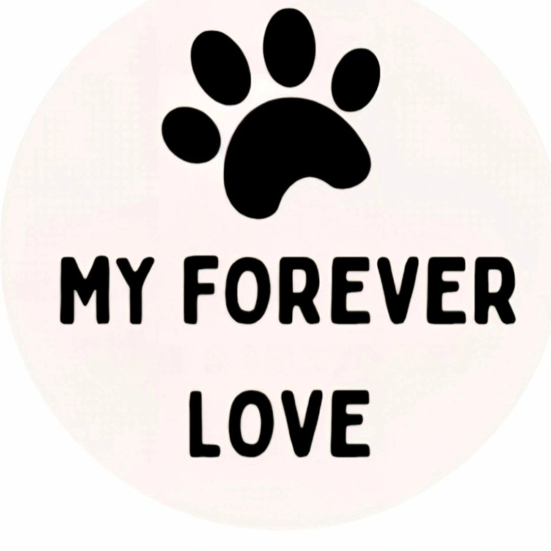 Rescue Pull Funding for Dogs – How Stewie and Suds Were Saved - Hope Paws Support Fund - image 3