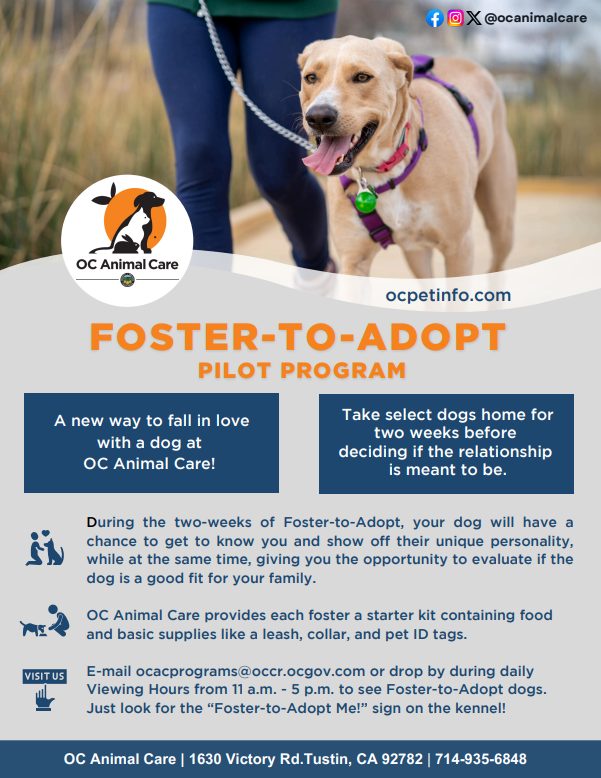 Foster-to-Adopt at OC Animal Care - Hope Paws Support Fund - image
