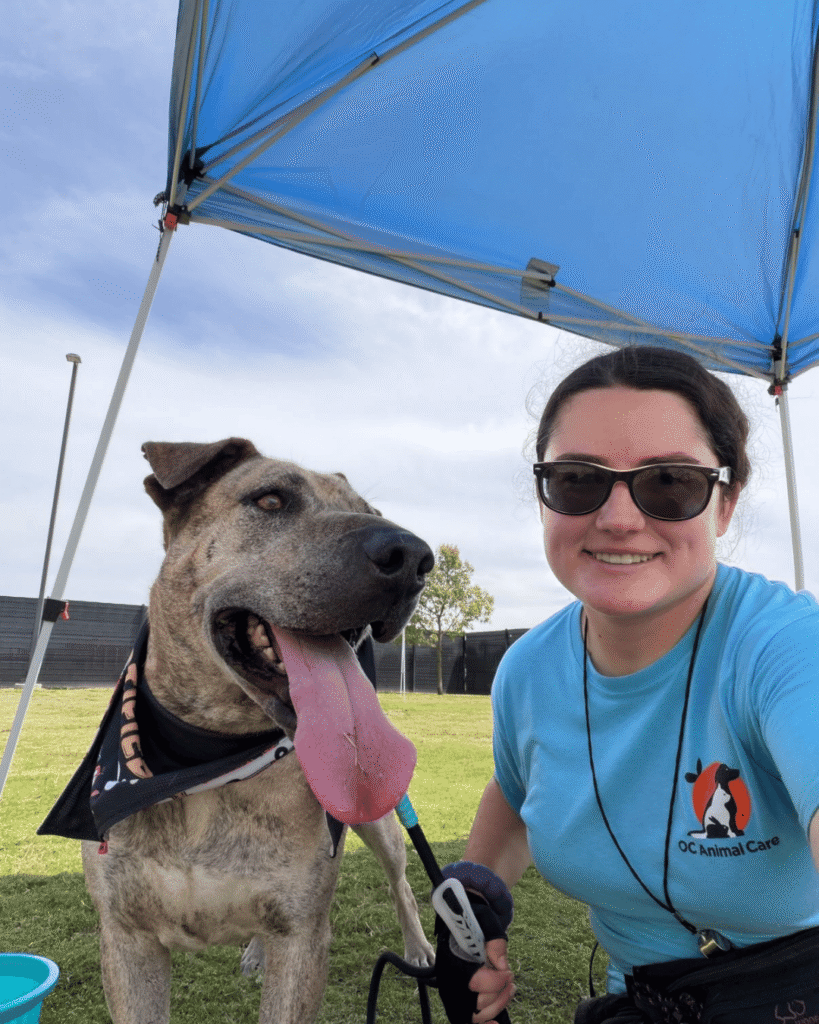 Gracie - volunteer
