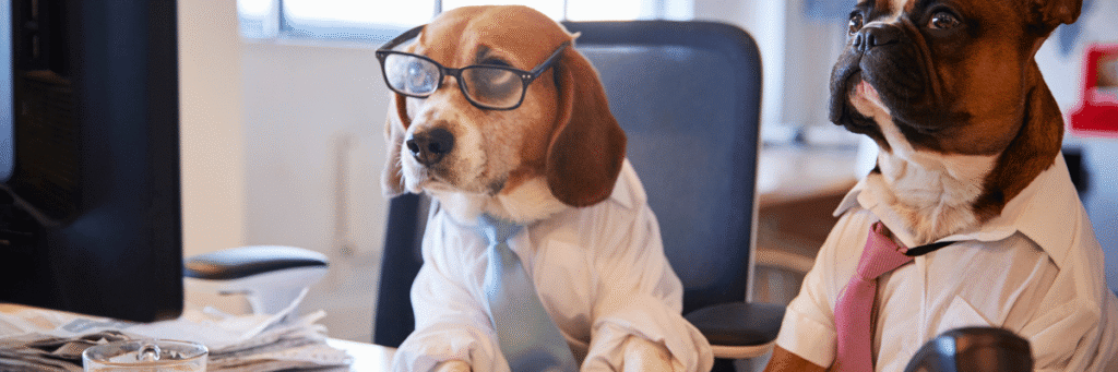 Pledges - Hope Paws Support Fund - Heading 17 1