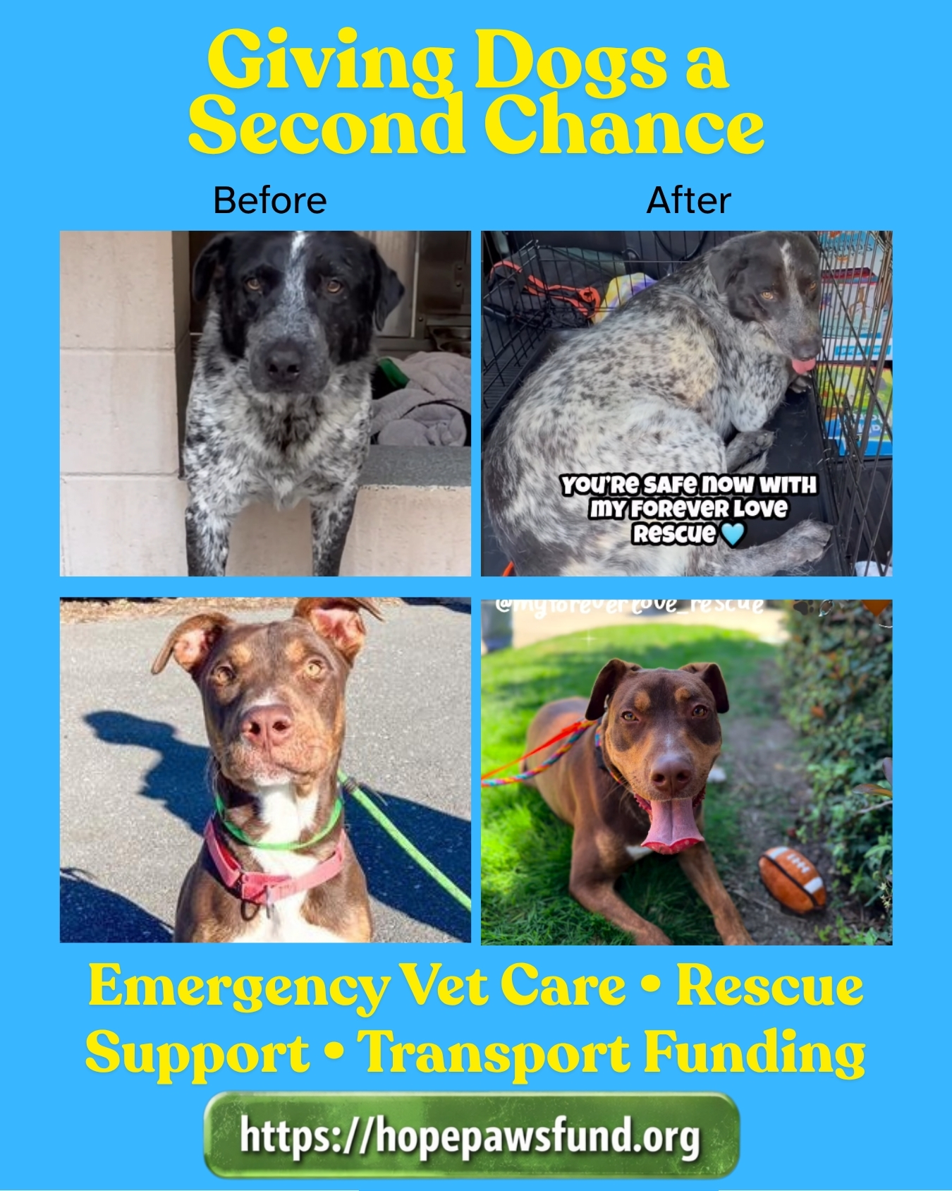 Resources - Hope Paws Support Fund - slide1