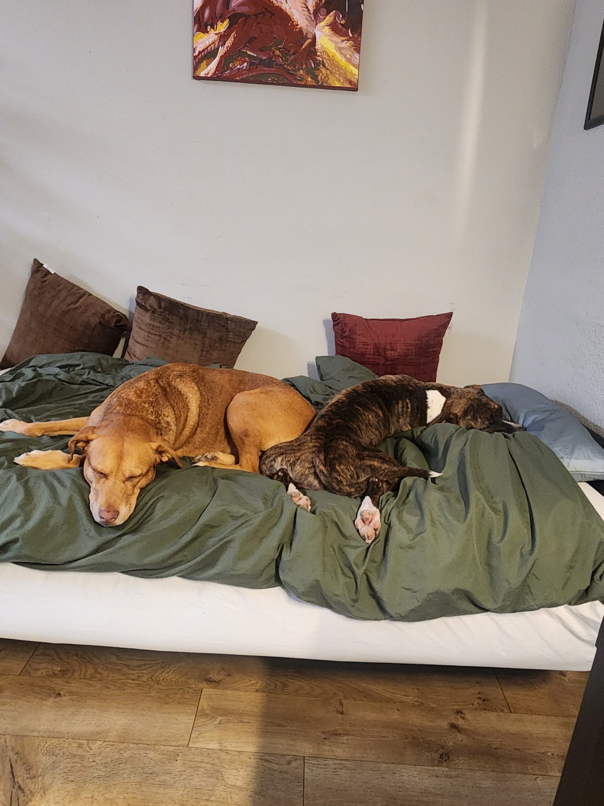 I Adopted Billie!!!! - Hope Paws Support Fund - 1000040502 scaled
