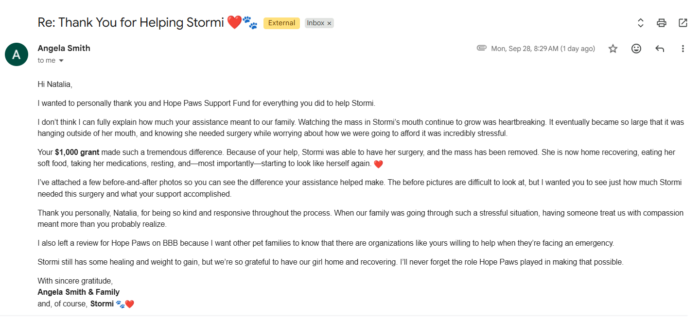 - Hope Paws Support Fund - Hope Paws Support Fund - Stormi letter