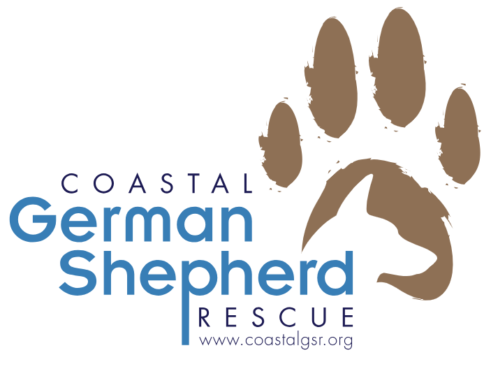 Rescue Updates: Ellen, Drakeo, Benjamin, Strut & Kona - Hope Paws Support Fund Rescue Updates: Ellen, Drakeo, Benjamin, Strut & Kona - Hope Paws Support Fund - coastal