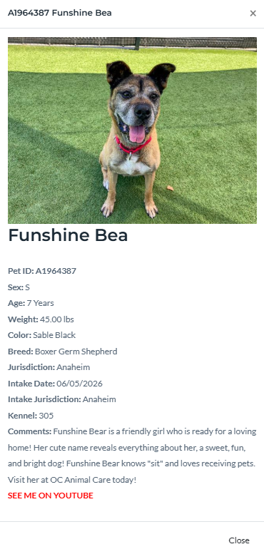 Help Transport Funshine Bear to Her Rescue in Idaho - Hope Paws Support Fund Help Transport Funshine Bear to Her Rescue in Idaho - Hope Paws Support Fund - image 22