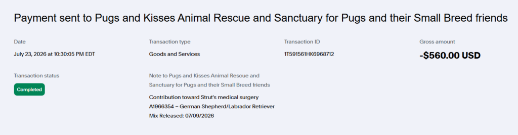   - Hope Paws Support Fund - image 44