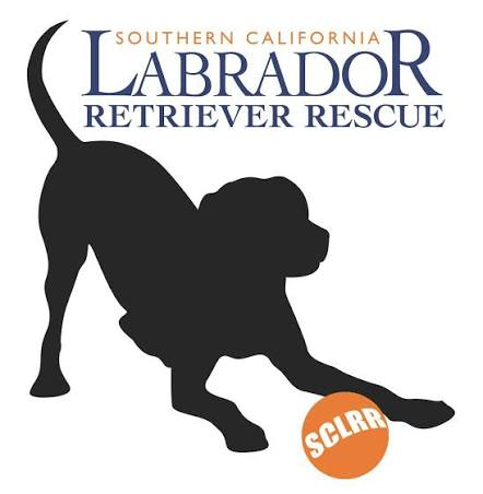 Rescue & Grant Updates: Lovin, Funshine Bear, Mr. Pibb, Alex, Oikos & Swazi - Hope Paws Support Fund - image 48