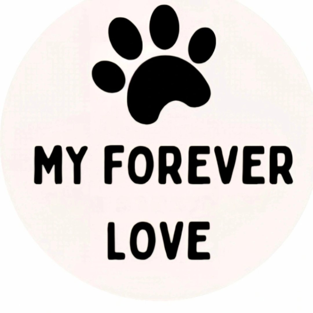Rescue & Grant Updates: Lovin, Funshine Bear, Mr. Pibb, Alex, Oikos & Swazi - Hope Paws Support Fund - image 49