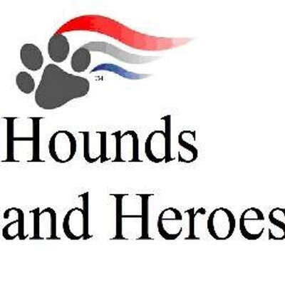 Rescue & Grant Updates: Lovin, Funshine Bear, Mr. Pibb, Alex, Oikos & Swazi - Hope Paws Support Fund - image 50