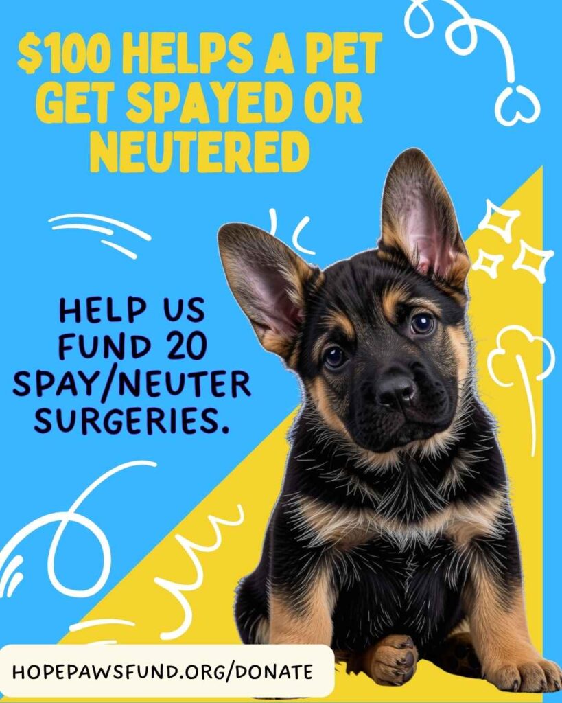 Spay/Neuter Assistance Fund - Hope Paws Support Fund - spay neuter