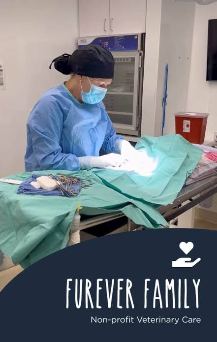 Low-Cost Spay and Neuter Orange County - Hope Paws Support Fund - spay