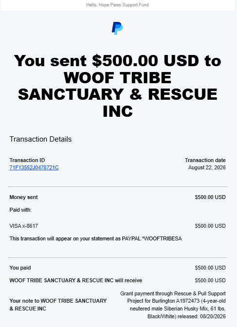  - Hope Paws Support Fund - Woof Burlington 500