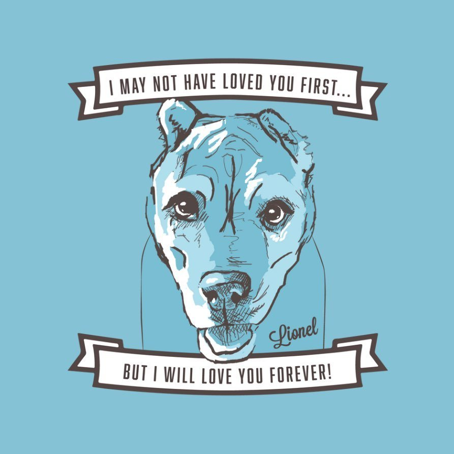 Rescue Updates: Chico, Perry, Ace, Maze, Zanky, Blue, Katana - Hope Paws Support Fund - image 16