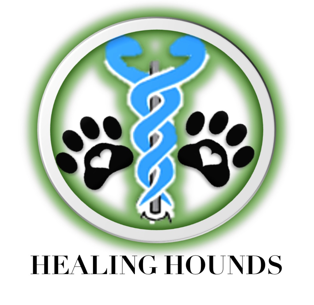Rescue & Grant Updates: ANGEL, NAMOR, RON, WANDA, SILVER - Hope Paws Support Fund Rescue & Grant Updates: ANGEL, NAMOR, RON, WANDA, SILVER - Hope Paws Support Fund - image 4