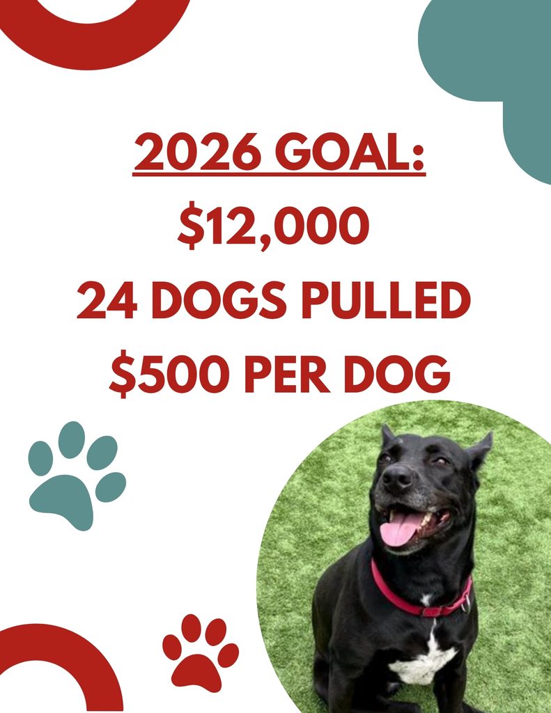 &nbsp; - Hope Paws Support Fund - 2
