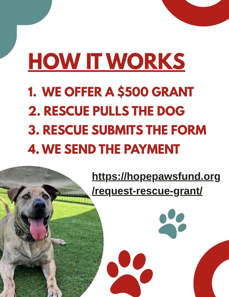 &nbsp; - Hope Paws Support Fund - 3