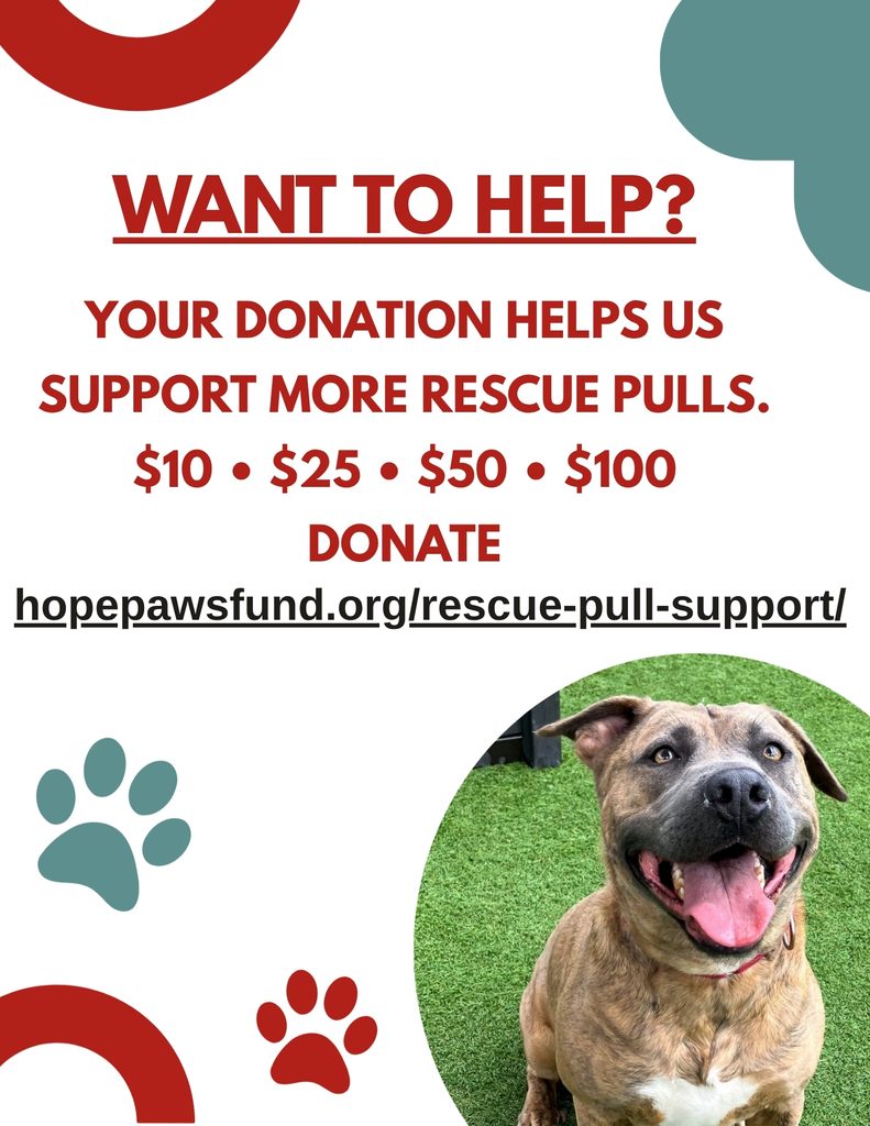 &nbsp; - Hope Paws Support Fund - 4