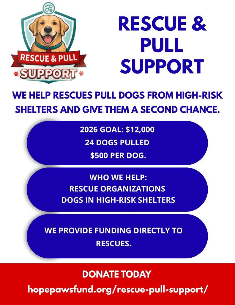 &nbsp; - Hope Paws Support Fund - 5