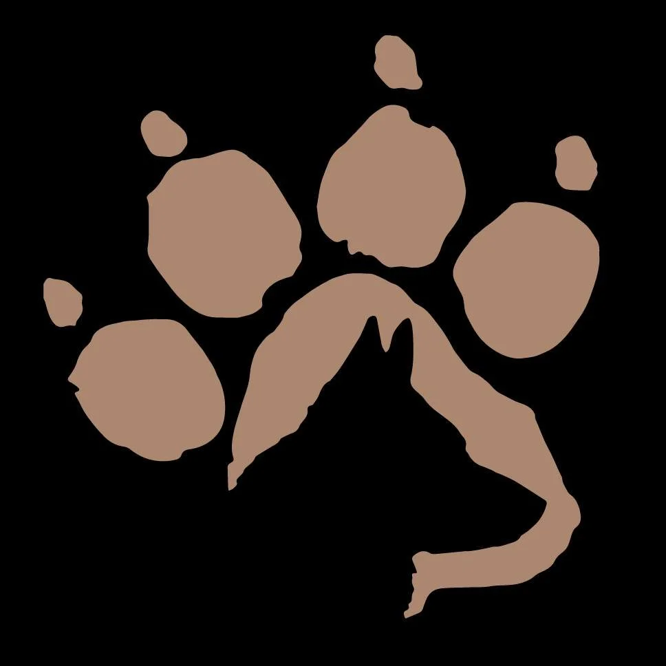 Rescue & Grant Updates: Polly, Kaiba, Burlington, Hopper, Morticia - Hope Paws Support Fund Rescue & Grant Updates: Polly, Kaiba, Burlington, Hopper, Morticia - Hope Paws Support Fund - TRINA