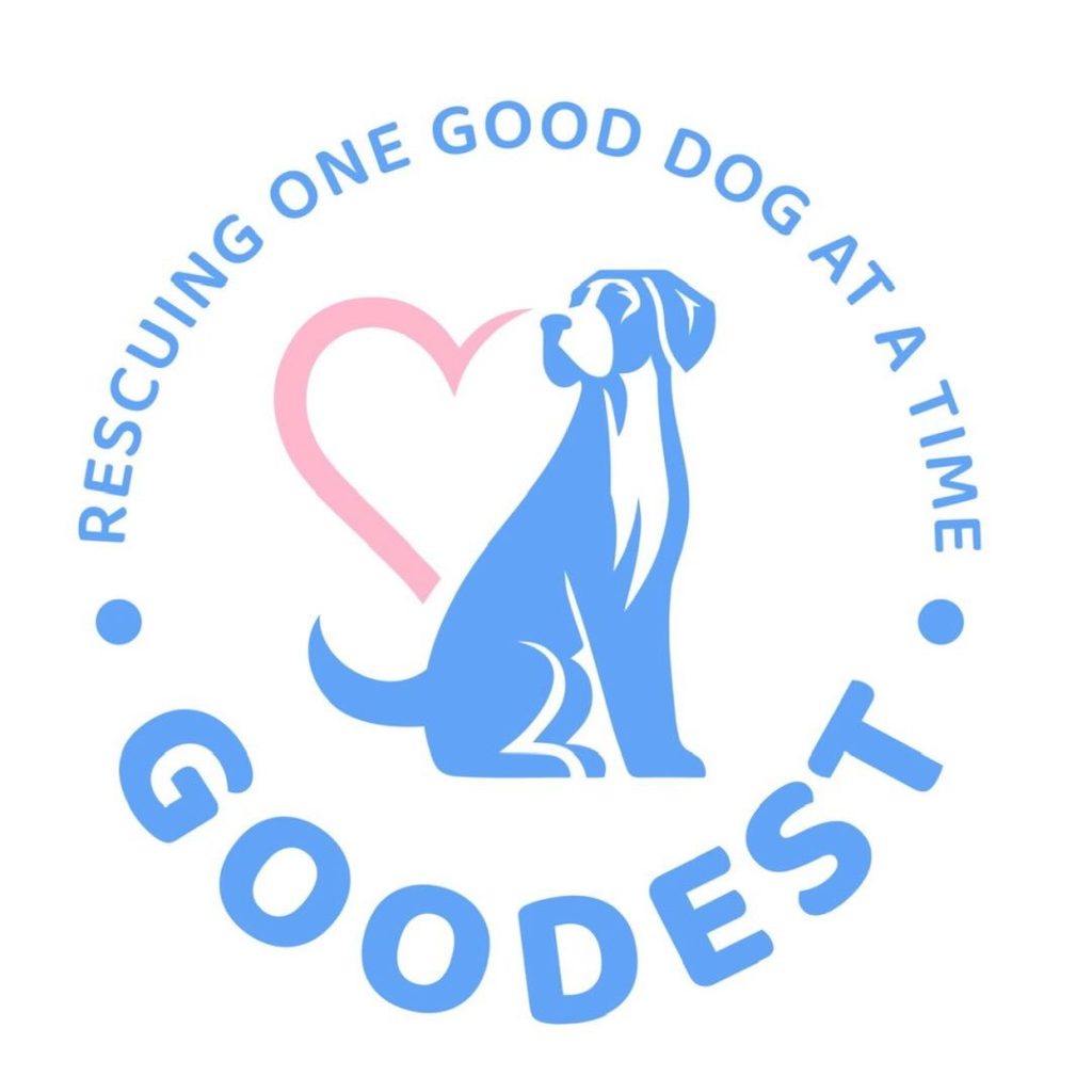Rescue & Grant Updates: Polly, Kaiba, Burlington, Hopper, Morticia - Hope Paws Support Fund Rescue & Grant Updates: Polly, Kaiba, Burlington, Hopper, Morticia - Hope Paws Support Fund - doddest