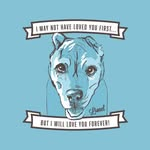 Rescues We Help - Hope Paws Support Fund https://lionelslegacy.org/