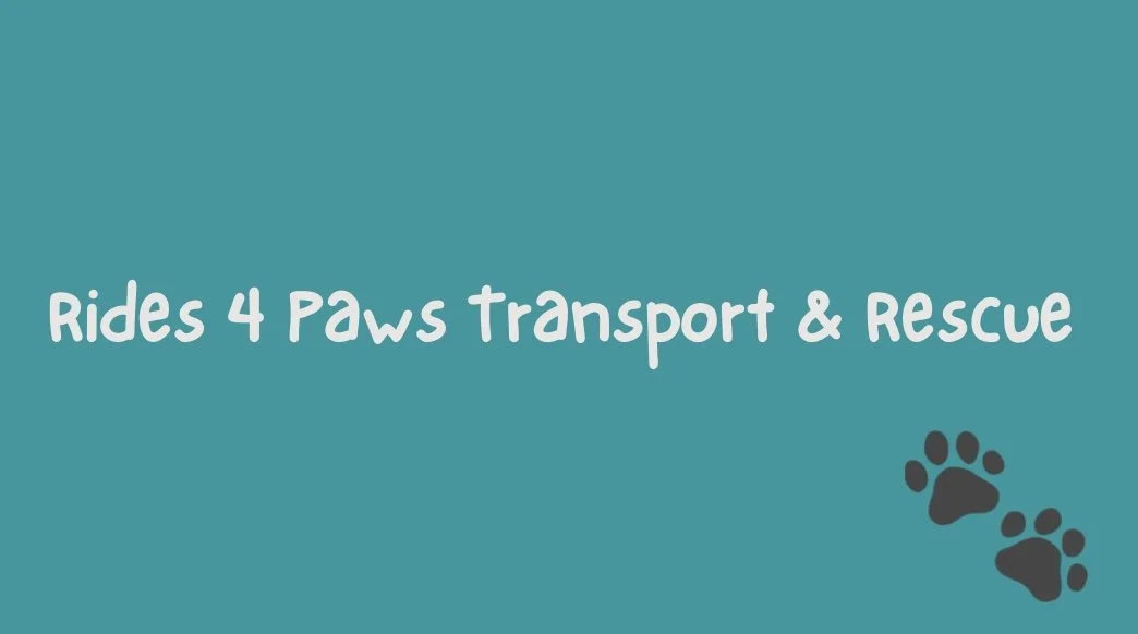 Rescues We Help - Hope Paws Support Fund https://www.rides4pawstransportrescue.com/
