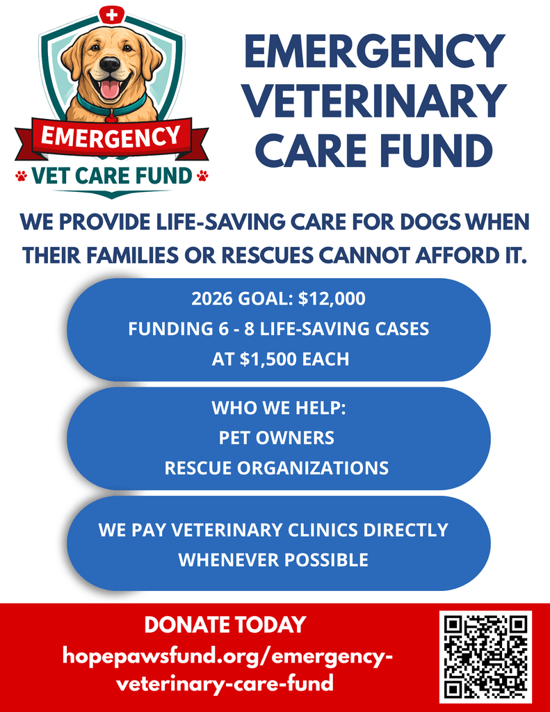 &nbsp; - Hope Paws Support Fund - 11