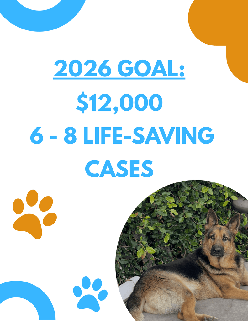 &nbsp; - Hope Paws Support Fund - 8