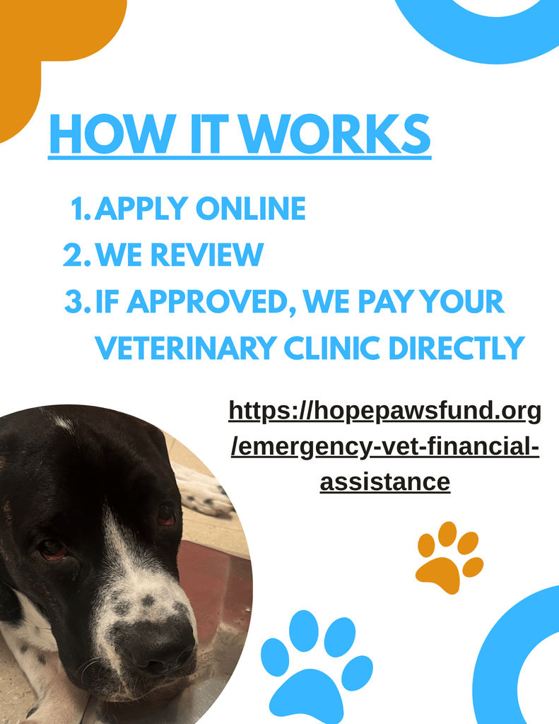 &nbsp; - Hope Paws Support Fund - 9