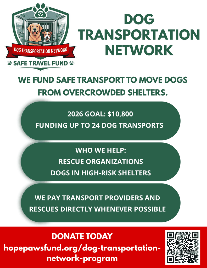 &nbsp; - Hope Paws Support Fund - Transport 1