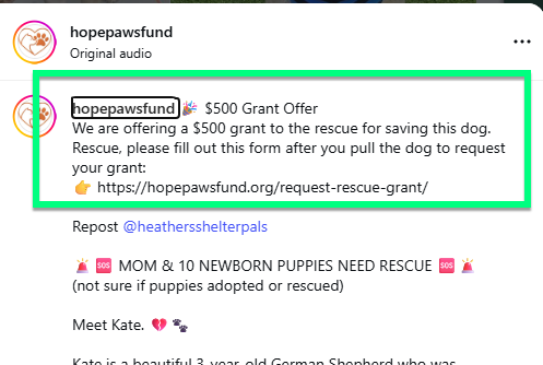 Grant Offer Examples - Hope Paws Support Fund Grant Offer Examples - Hope Paws Support Fund - example3 edited