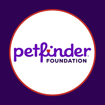 Emergency help - Hope Paws Support Fund - image 1